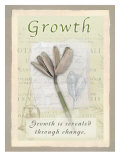 Growth