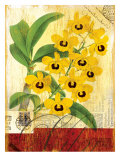 Vintage Botanica Flower Print