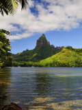 Buy Opunohu Bay and Mount Mauaroa, Moorea, French Polynesia, South Pacific Ocean, Pacific at AllPosters.com