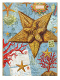 Buy Vintage Botanical Starfish Print at AllPosters.com