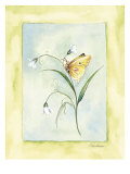 Buy Yellow Butterfly With White Flowers at AllPosters.com