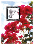 Hummingbird