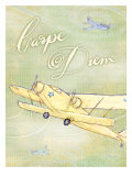 Carpe Diem