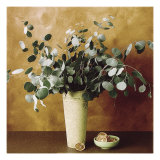 Buy Eucalyptus and Oranges at AllPosters.com