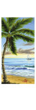 Buy Soothing Shores at AllPosters.com