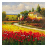 Tuscan Summer