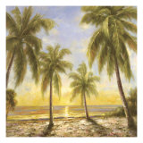 Caribbean Waters