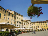 Piazza Anfiteatro, Lucca, Tuscany, Italy, Europe
