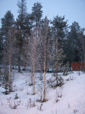 Buy Pyha-Luosto Ski Resort, Finnish Lapland, Finland, Scandinavia, Europe at AllPosters.com