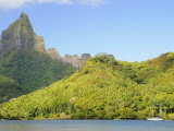 Opunohu Bay and Mount Mauaroa, Moorea, French Polynesia, South Pacific Ocean, Pacific