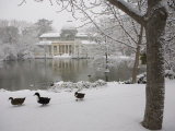 Crystal Palace in the Snow, Retiro Park, Madrid, Spain, Europe