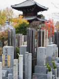 Grave Stones and Pagoda in a Cemetery, Shinnyo Do Temple, Kyoto, Japan, Asia