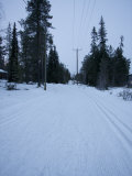 Buy Snow Covered Road, Pyha-Luosto Ski Resort, Finnish Lapland, Finland, Scandinavia, Europe at AllPosters.com