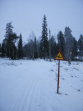 Buy Snow Covered Road, Pyha-Luosto Ski Resort, Finnish Lapland, Finland, Scandinavia, Europe at AllPosters.com