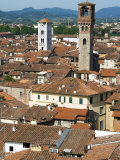 View of Lucca from Torre Guinigi, Lucca, Tuscany, Italy, Europe