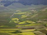 Fields of Lentils, Highland of Castelluccio Di Norcia, Norcia, Umbria, Italy, Europe