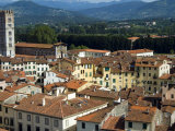 View of Lucca from Torre Guinigi, Lucca, Tuscany, Italy, Europe