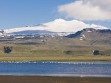 Mountain Landscape with Body of Water and Flock of Birds, Snaefellsjokull National Park, Iceland