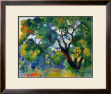Saint Tropez Landscape