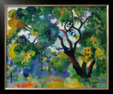Saint Tropez Landscape