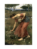 Narcissus, 1912