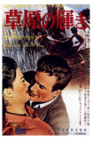 Splendor in the Grass, Japanese Movie Poster, 1961