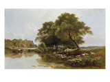 Sheep Washing