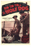 The Wolf Dog
