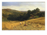 A Surrey Cornfield, 1860