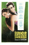 Splendor in the Grass, Spanish Movie Poster, 1961