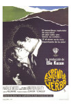 Splendor in the Grass, Spanish Movie Poster, 1961