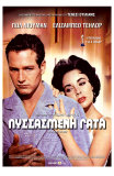 Cat On a Hot Tin Roof, Greek Movie Poster, 1958