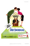 The Ugly Dachshund, 1966