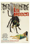 The Fly, Spanish Movie Poster, 1958