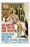 Cat On a Hot Tin Roof, Italian Movie Poster, 1958