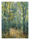 Sous-Bois, 1876