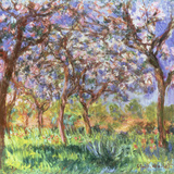 Buy Printemps a Giverny, 1900 at AllPosters.com