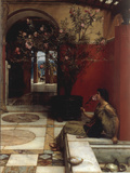 The Oleander