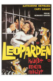 Bringing Up Baby, German Movie Poster, 1938