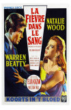 Splendor in the Grass, Belgian Movie Poster, 1961