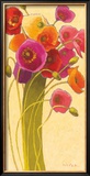 Amapola Barcelona II