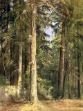Buy Forest, 1892 at AllPosters.com