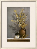 Forsythia