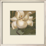 Buy Spring Magnolia I at AllPosters.com