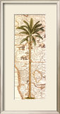 Buy African Palm I at AllPosters.com
