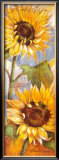 Buy Head of the Sun at AllPosters.com