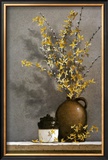 Forsythia