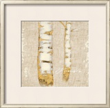 Buy Natural Wonder at AllPosters.com