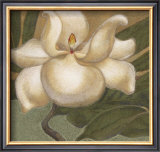 Buy Spring Magnolia I at AllPosters.com