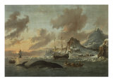 Shipping in a Choppy Sea